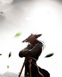 妻君犯上流年忆月剧透