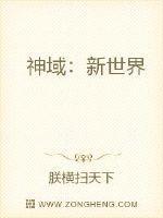 神域:新世界